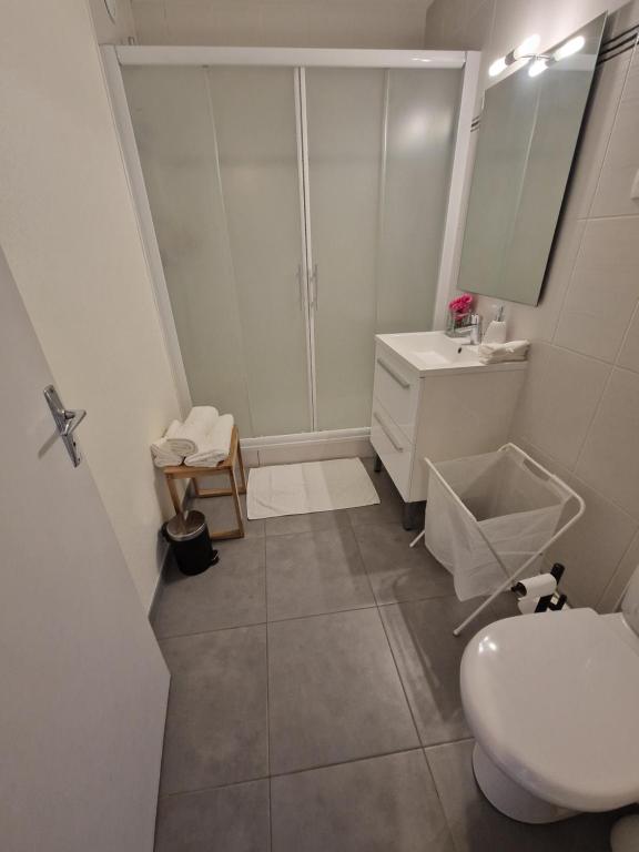 a bathroom with a shower and a toilet and a sink at Studio confort in Fleury-les-Aubrais