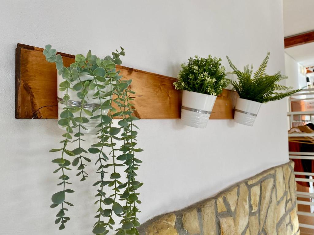 Hotel La Vetta Europa - 16