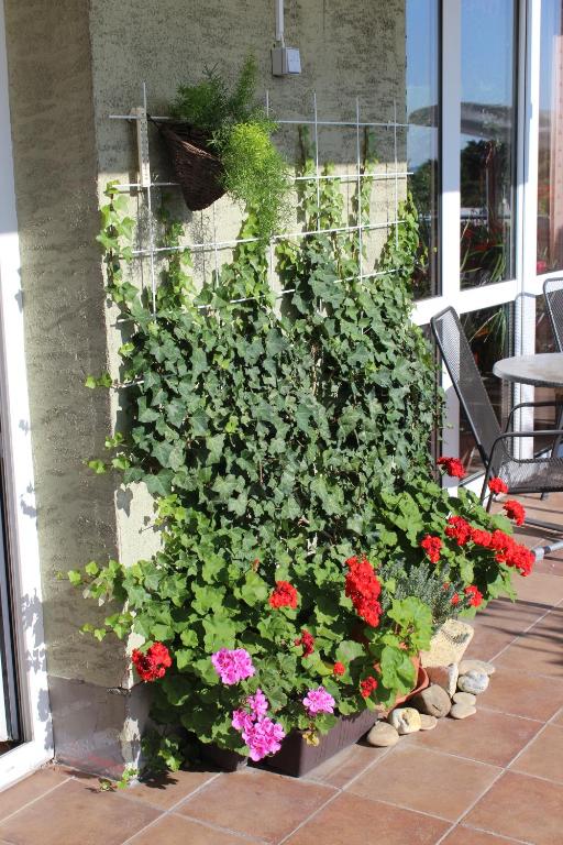 Pension Zlata Noha - Resim 39