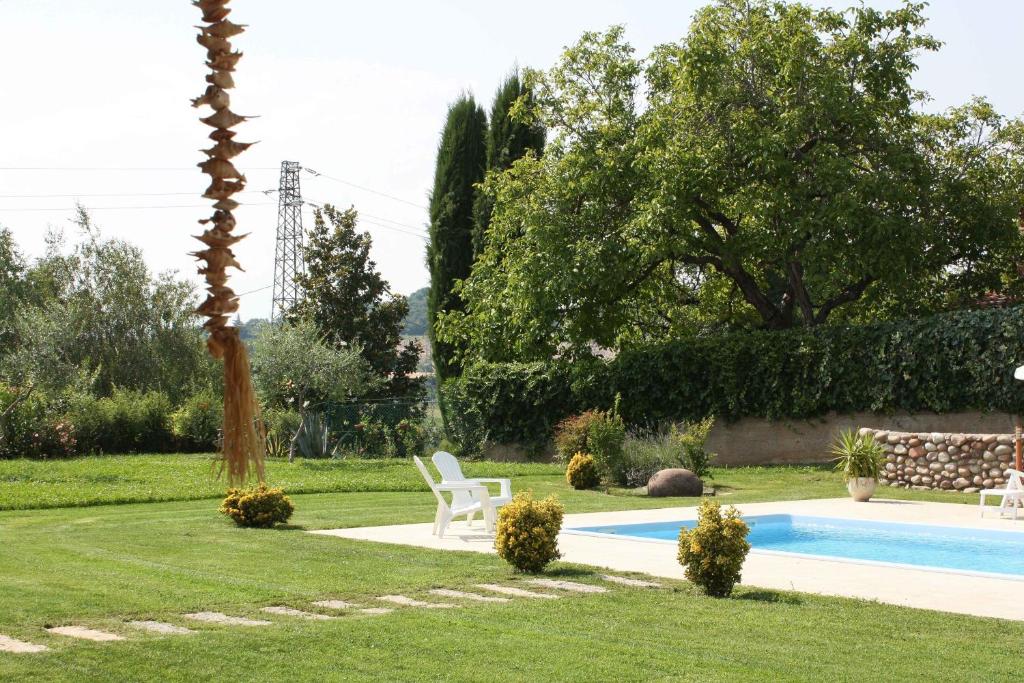 uma palmeira e uma cadeira ao lado de uma piscina em Paglia&Fieno em Rivoli Veronese
