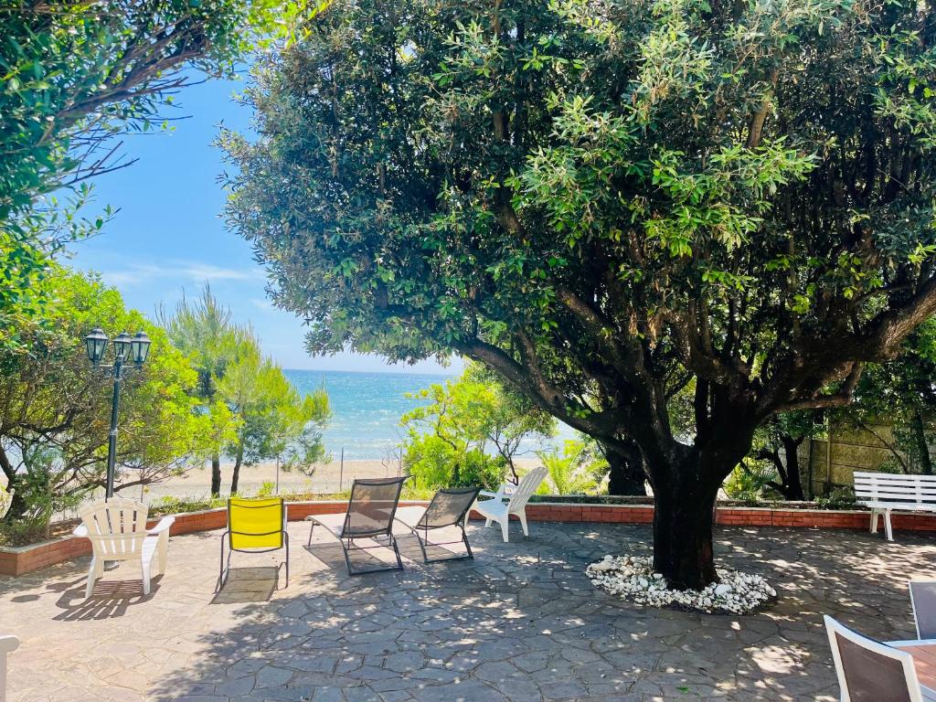 un grupo de sillas y un árbol junto a la playa en Villa GREG stupenda location sulla spiaggia con accesso diretto al mare en Terracina