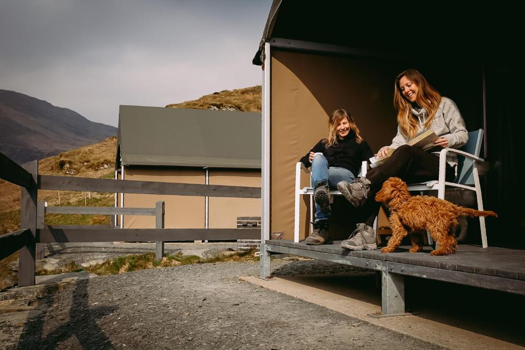 Domácí mazlíčci ubytovaní s hosty v ubytování Llechwedd Glamping