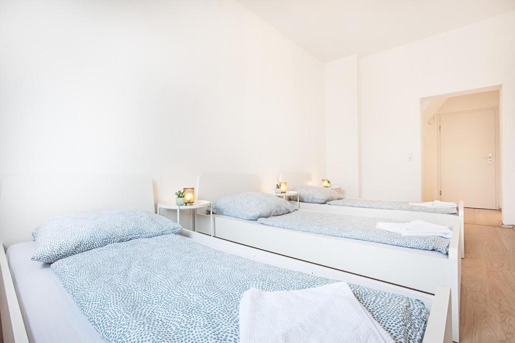 Легло или легла в стая в Duisburg Aparts by TM