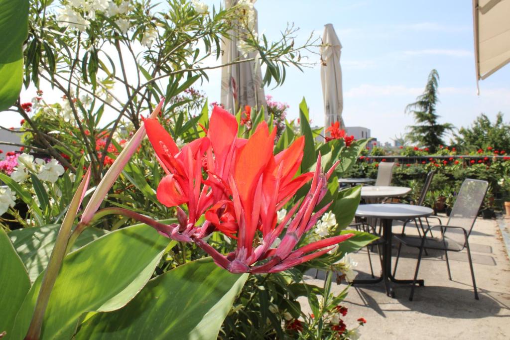 Pension Zlata Noha - Resim 43