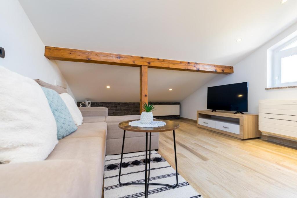 Televízia a/alebo spoločenská miestnosť v ubytovaní Apartments Janeš