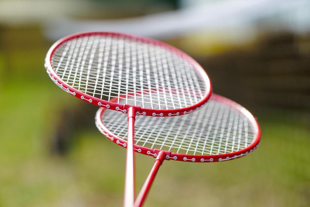 Tenis a/nebo squash v ubytování Prullenbos Tiny Nutz Nest nebo okolí