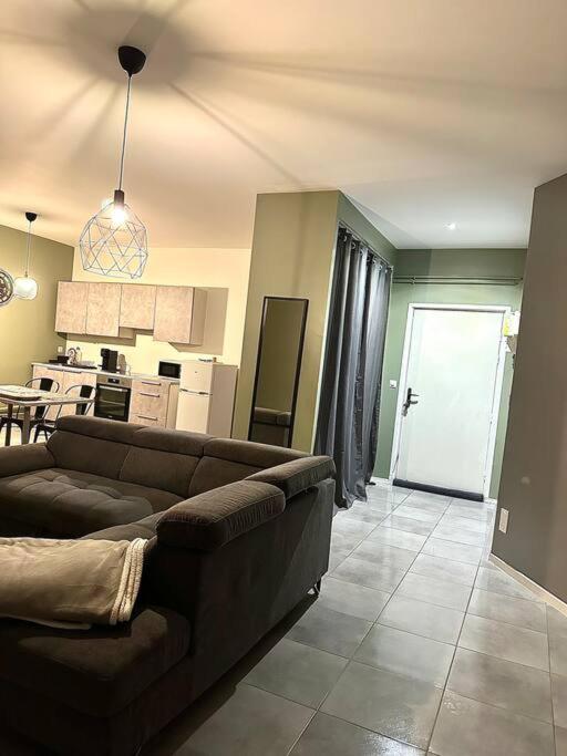 un salon avec un canapé et une cuisine dans l'établissement F3 spacieux au centre ville, à Saint-Étienne