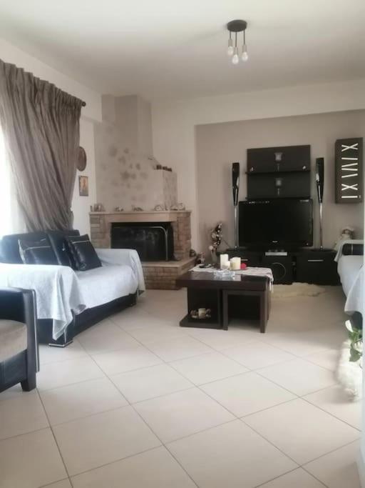 um quarto grande com uma cama e uma lareira em Zeus_Apartment_Ioannina em Neochorópoulon