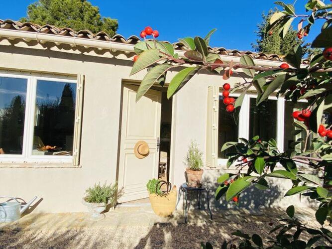 a white house with a plant in front of it at Holiday Cottage in Provence in Montauroux