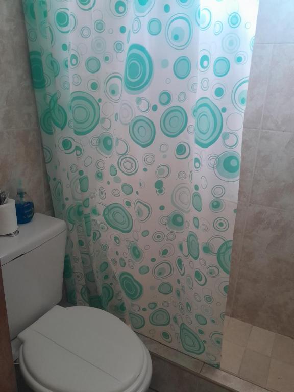 a bathroom with a shower curtain with a toilet at Alojamiento Lavalle in Guaymallen