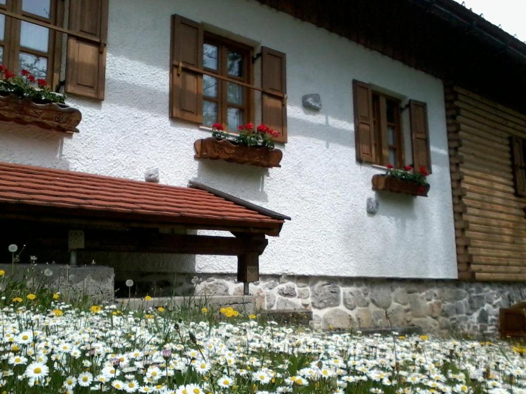 Zahrada ubytování Holiday House Sobol