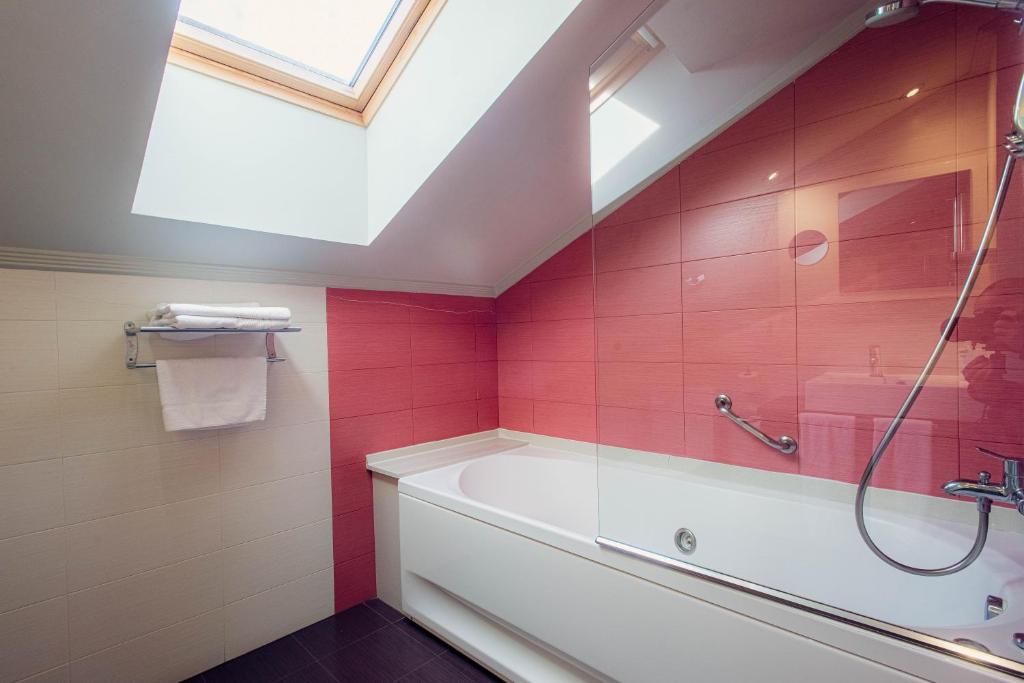 Apartamentos Spa Villa Pasiega - 优质的一居室公寓