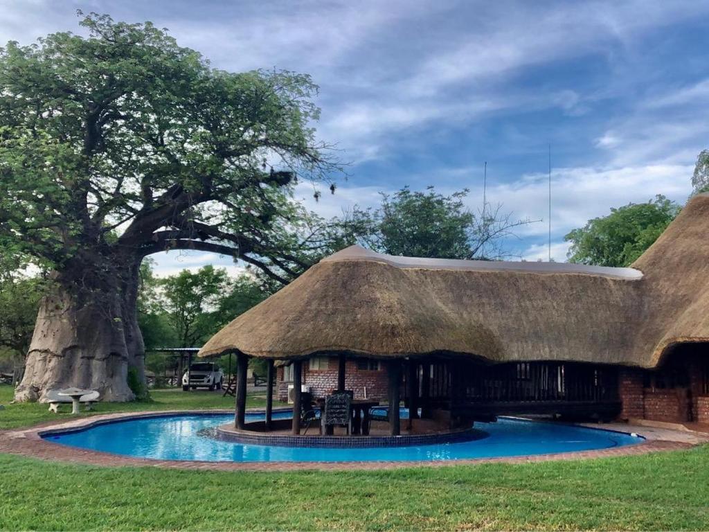 a hut with a thatched roof next to a pool at Munati B&B in Musina