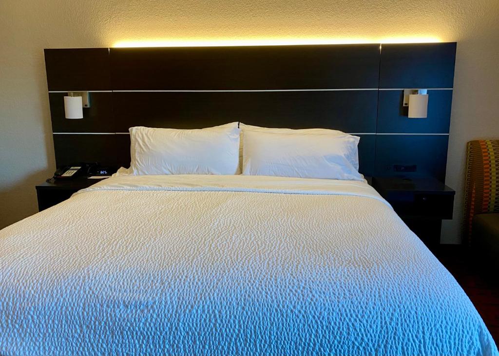 Holiday Inn Express Metropolis by IHG - King Room With Roll-In Shower - Disability Access