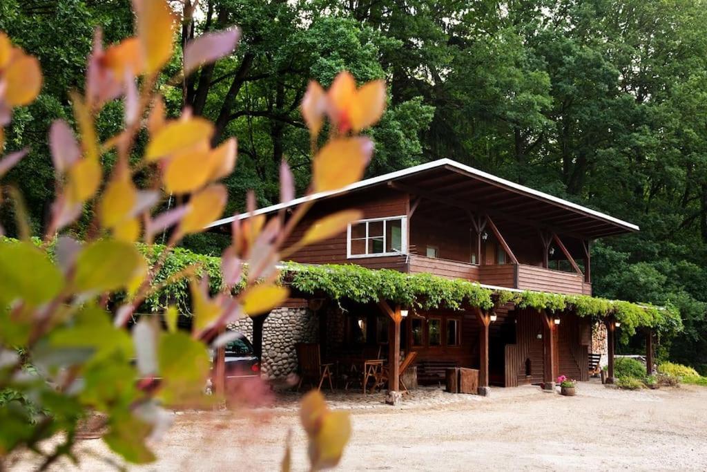 a wooden house with vines growing on it at Basen Przesieka - drewniany dom z dużym stawem kąpielowym in Przesieka