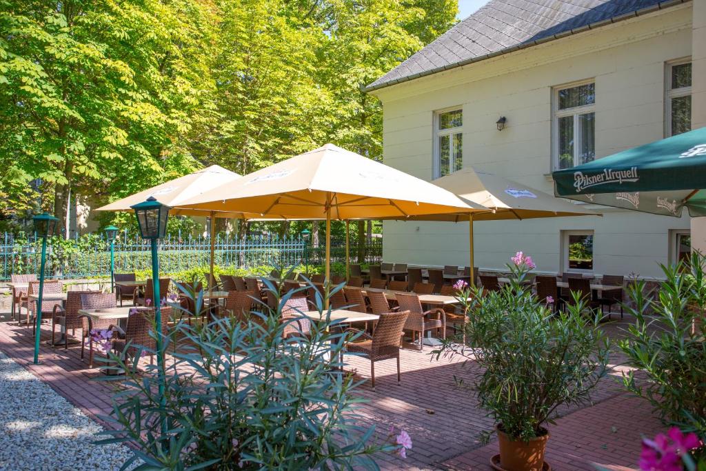 Zahrada ubytování Főnix Hotel
