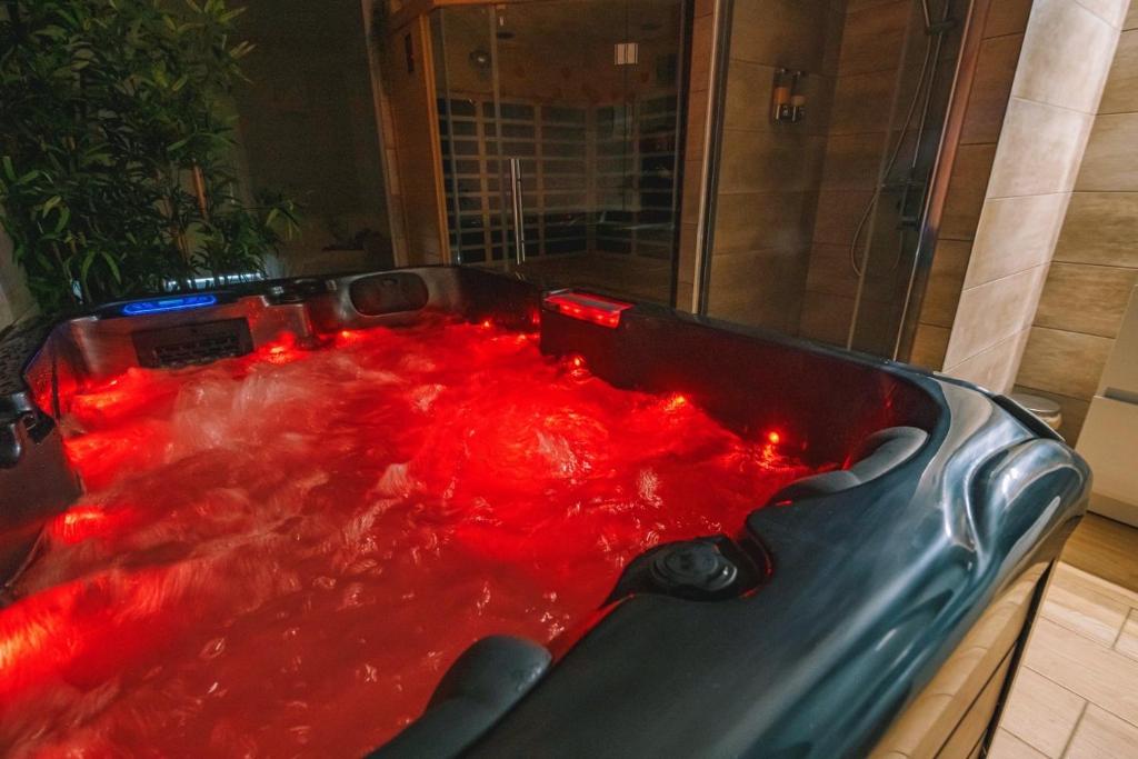 Fotografia z galérie ubytovania Spa appartement O temps suspendu Reims centre sauna et jacuzzi v destinácii Reims