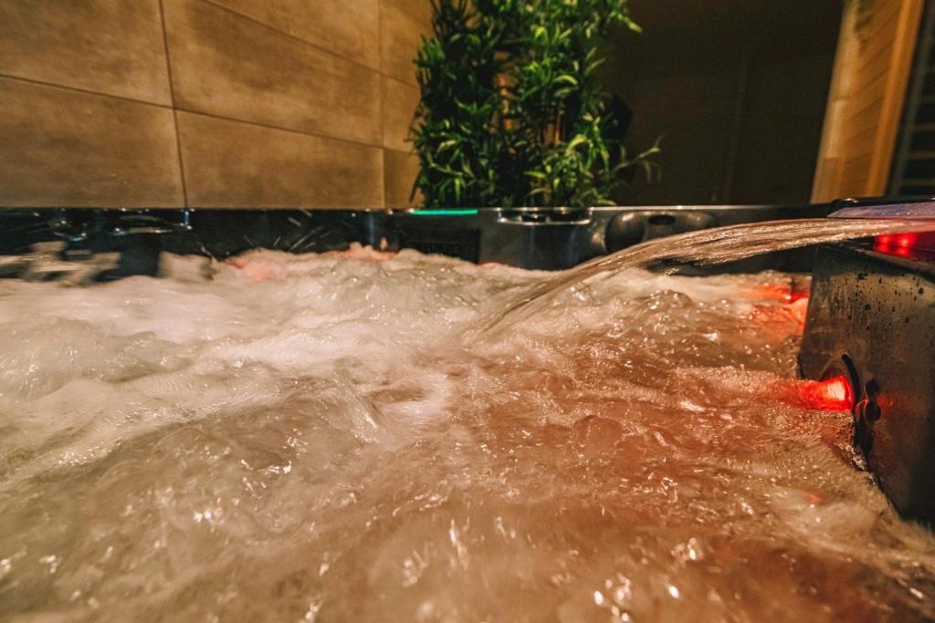 Fotografia z galérie ubytovania Spa appartement O temps suspendu Reims centre sauna et jacuzzi v destinácii Reims