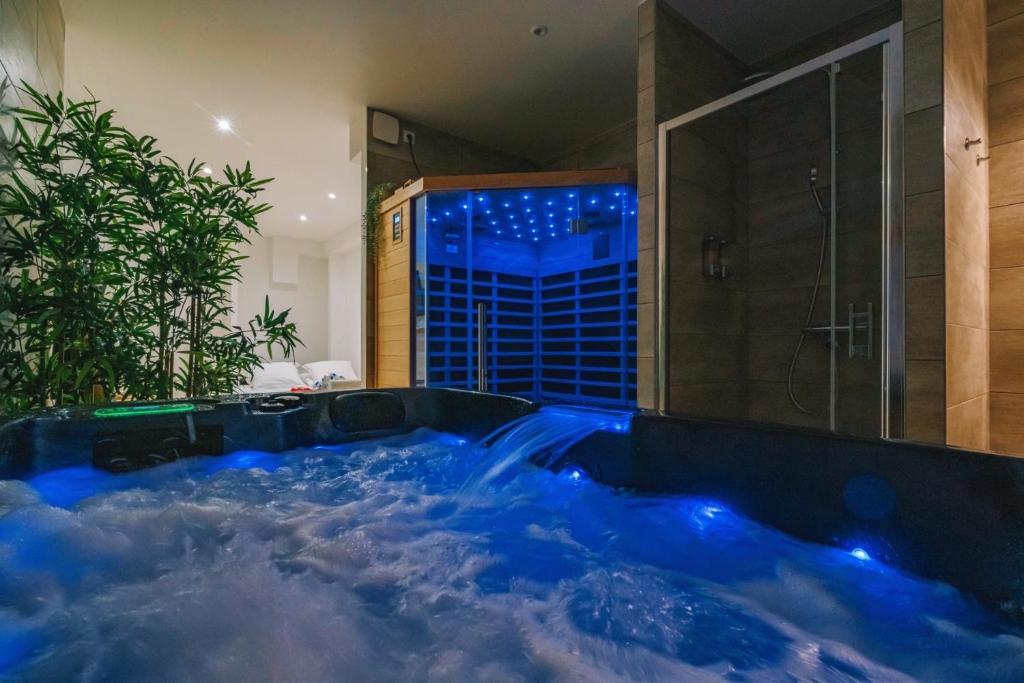 Bazén v ubytovaní Spa appartement O temps suspendu Reims centre sauna et jacuzzi alebo v jeho blízkosti