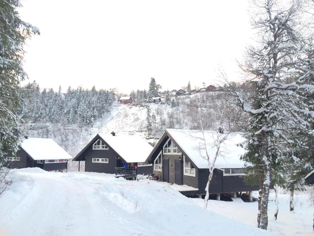 a house covered in snow next to a road at Kvamskogen & Hardanger Holliday homes in Norheimsund