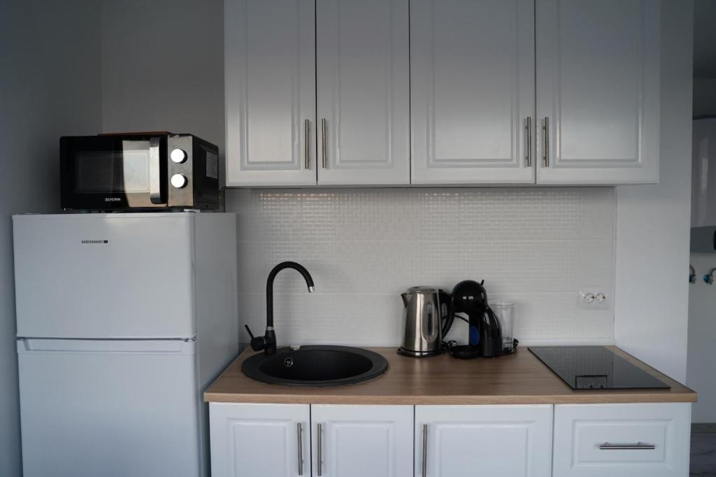 Kuchyň nebo kuchyňský kout v ubytování Tiny House Maguri