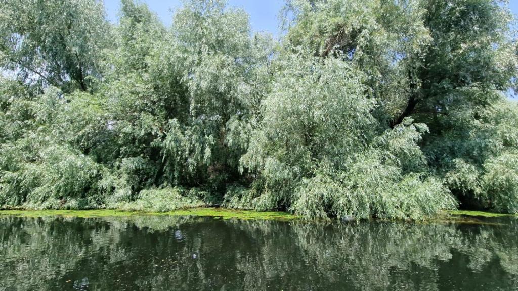 Příroda nedaleko ubytování na lodi