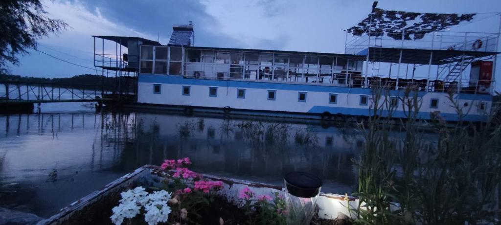 a boat is docked in the water with flowers at Pontonul lui Cristian in Mahmudia