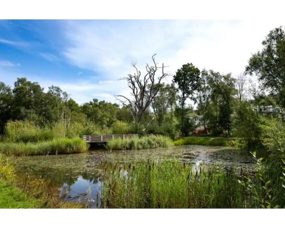 a river with a bridge in the middle of a field at Acorn in Hastings