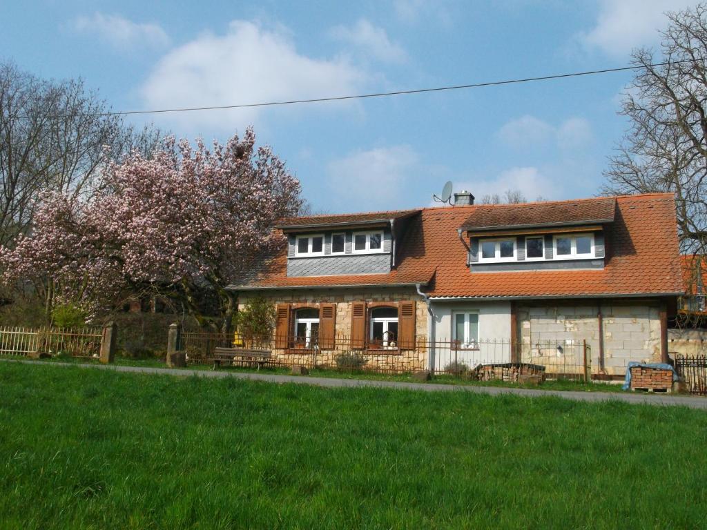 uma casa com um relvado verde em frente em Ferienhaus mit Garten im Odenwald zu vermieten em Fränkisch-Crumbach