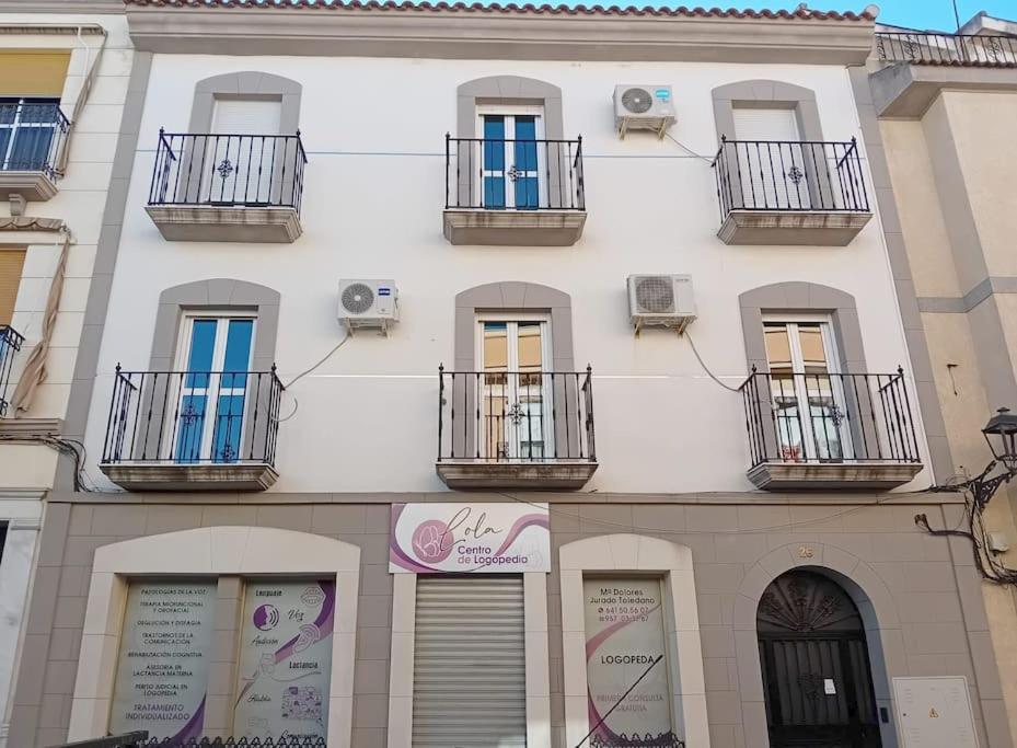 Piso amplio y luminoso con terraza-patio cordobés - Housity