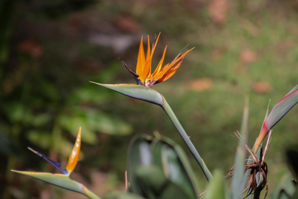 Fotografie z fotogalerie ubytování BioHotel Ecohouse v destinaci Guarne