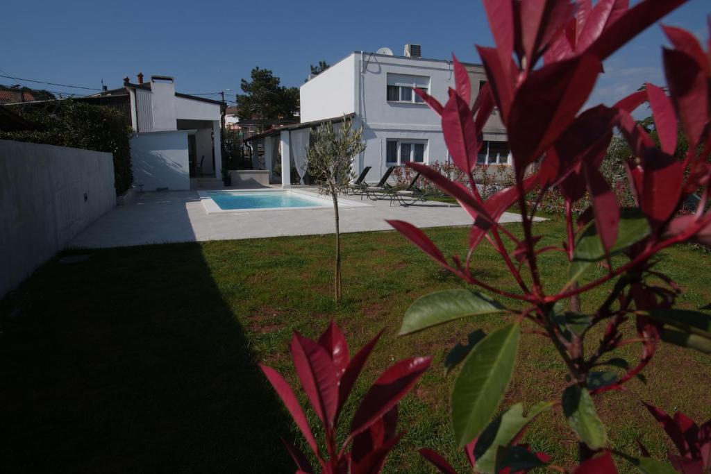 Bazén v ubytování House Bonita nebo v jeho okolí