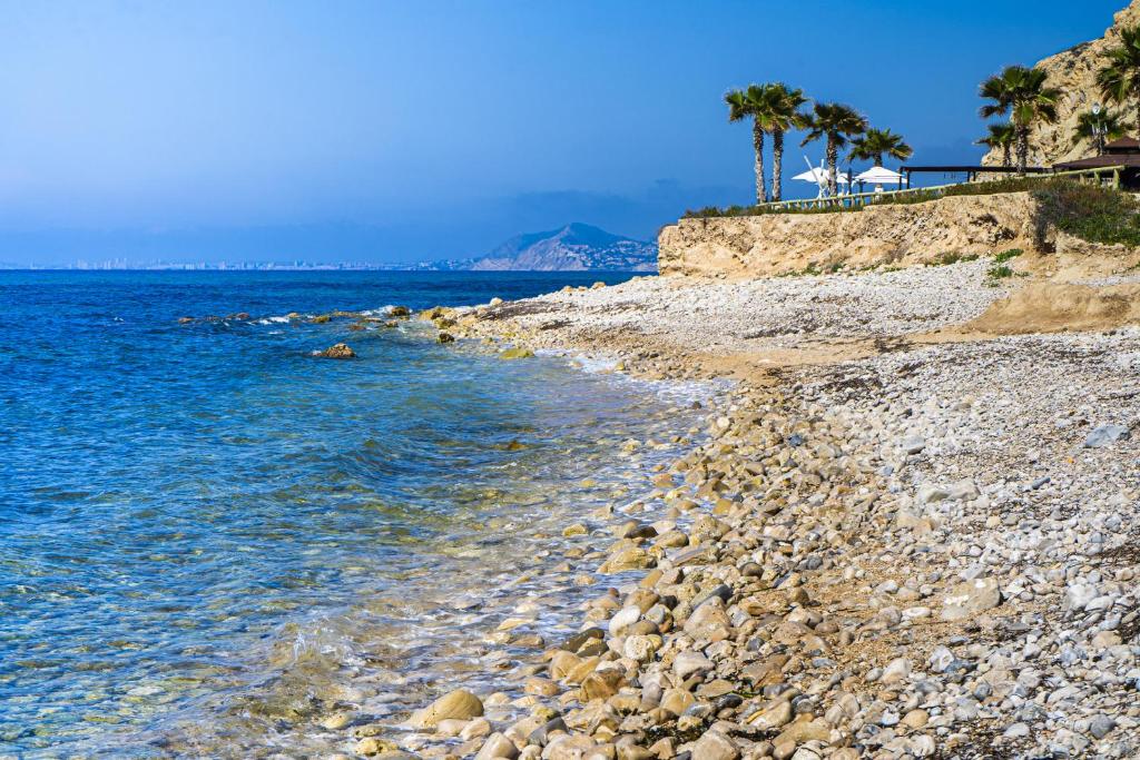 a rocky shore with palm trees and the ocean at Ca la Mar Villajoyosa in Villajoyosa