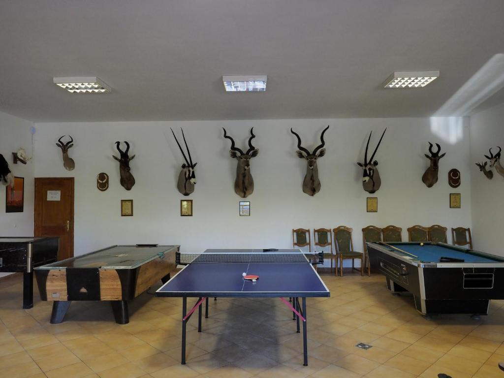 Herní místnost v ubytování Rókabérc Vadászház Hotel