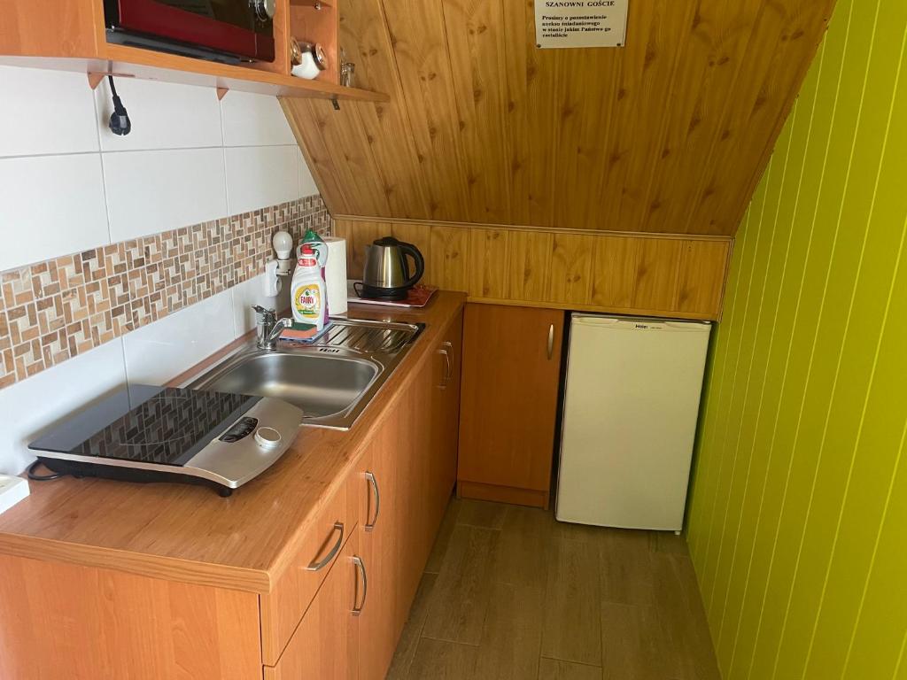 Kuchyň nebo kuchyňský kout v ubytování Willa Stenia Apartamenty