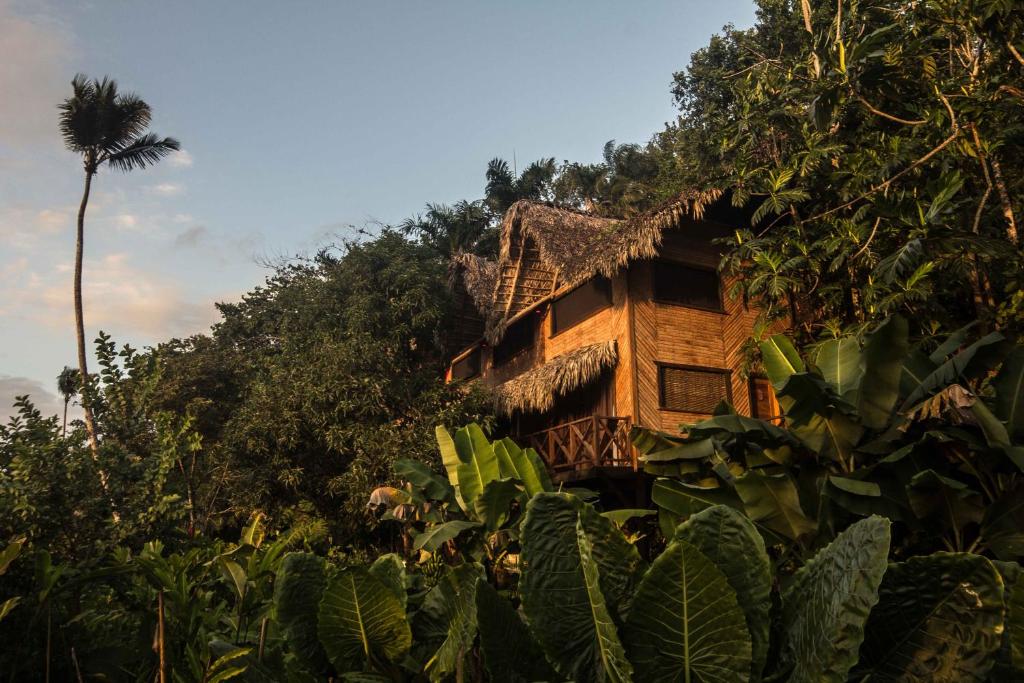dom na zboczu wzgórza z drzewami w obiekcie ZÂRIA w mieście El Valle