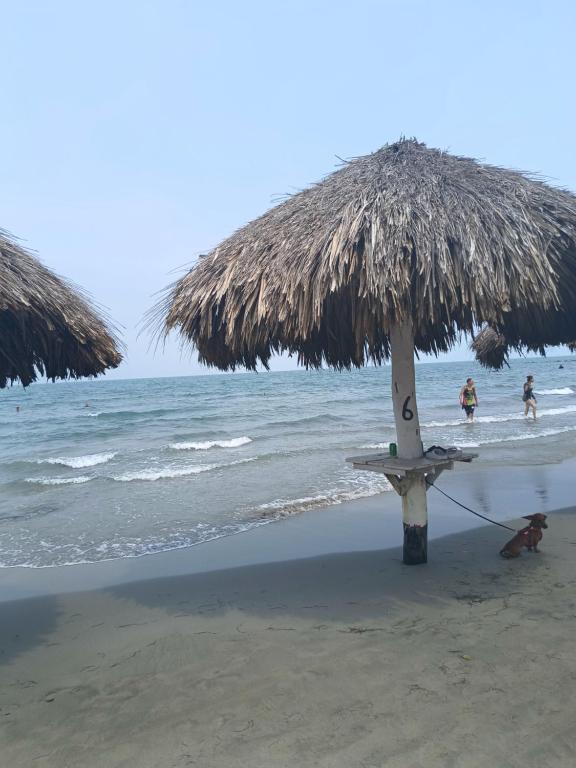 una sombrilla de paja en la playa con gente en el océano en Cabaña SOL Y MAR, en Coveñas