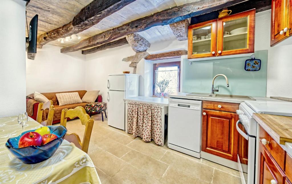 Kuchnia lub aneks kuchenny w obiekcie Apartman studio Baladur