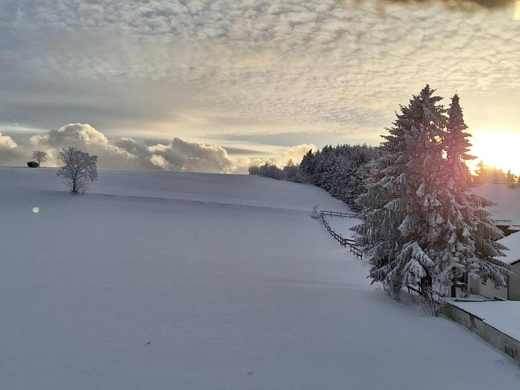 Pension Hubertus - 8