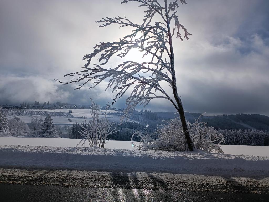 Pension Hubertus - 3