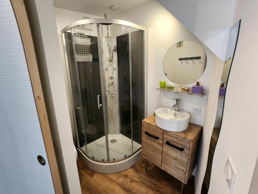W łazience znajduje się prysznic, umywalka i lustro. w obiekcie Maison cosy au calme proche sanctuaire w Lourdes