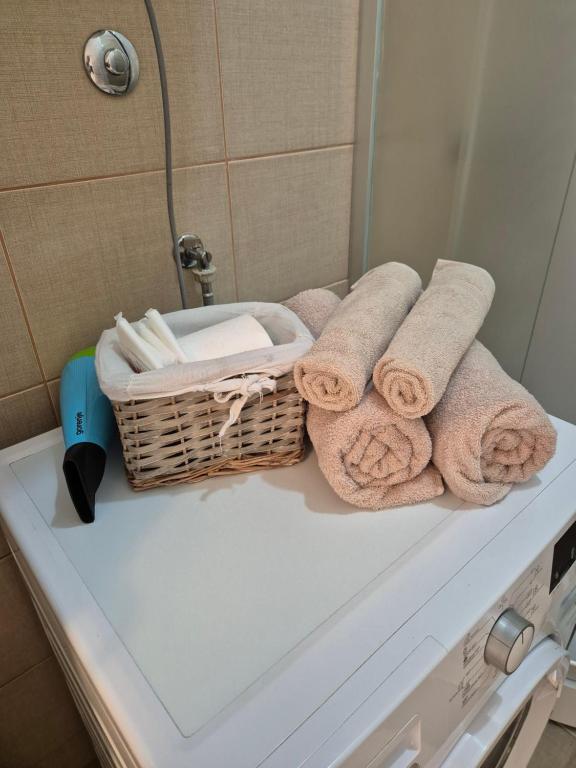 Fotografie z fotogalerie ubytování Apartman Vukan v destinaci Sremska Mitrovica