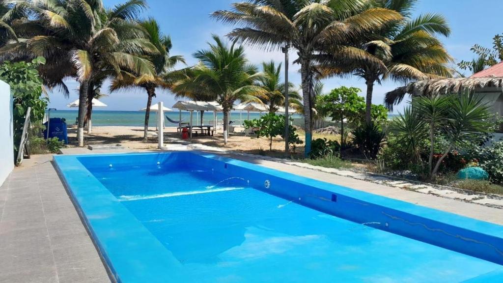 een blauw zwembad naast een strand met palmbomen bij Sand Castle Ocean Suites in Zorritos