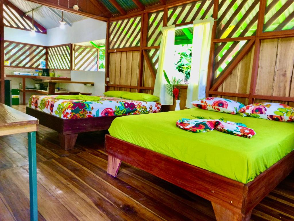 Fotografie z fotogalerie ubytování Alouatta Lodge and Canopy v destinaci Cahuita