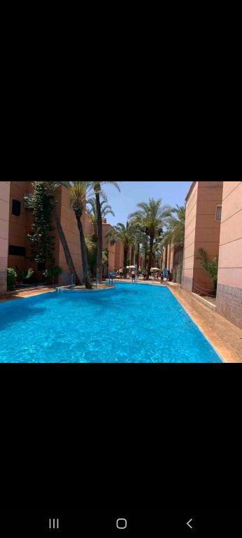 Riad Al Nakhil — photo 5