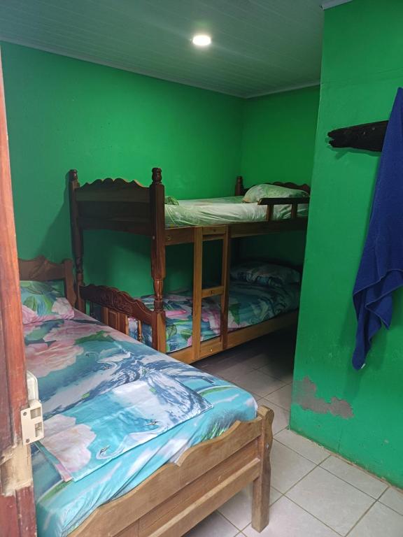 a room with two bunk beds and a green wall at La Cascada Hostel & Restaurant in Rivas