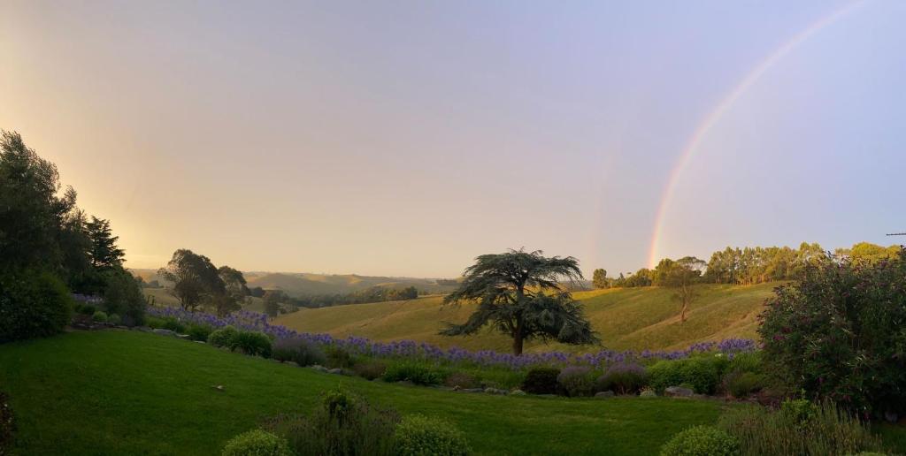 a rainbow in the sky over a green field at Haven Hills in Korumburra