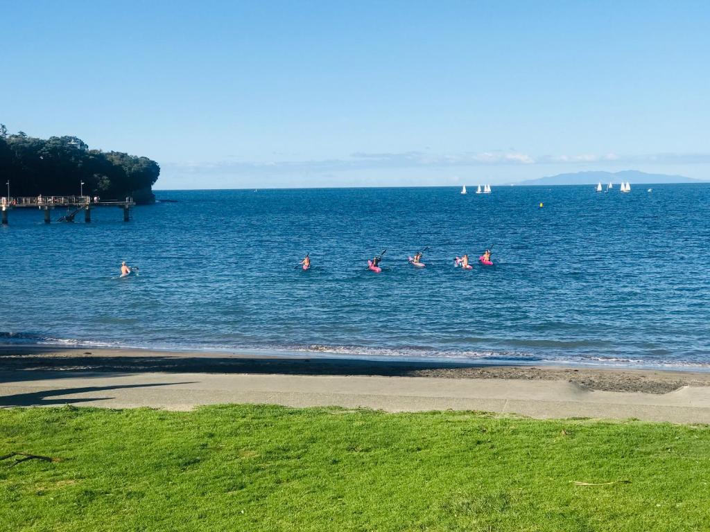 un grupo de personas nadando en un gran cuerpo de agua en Beach Lodge en Auckland