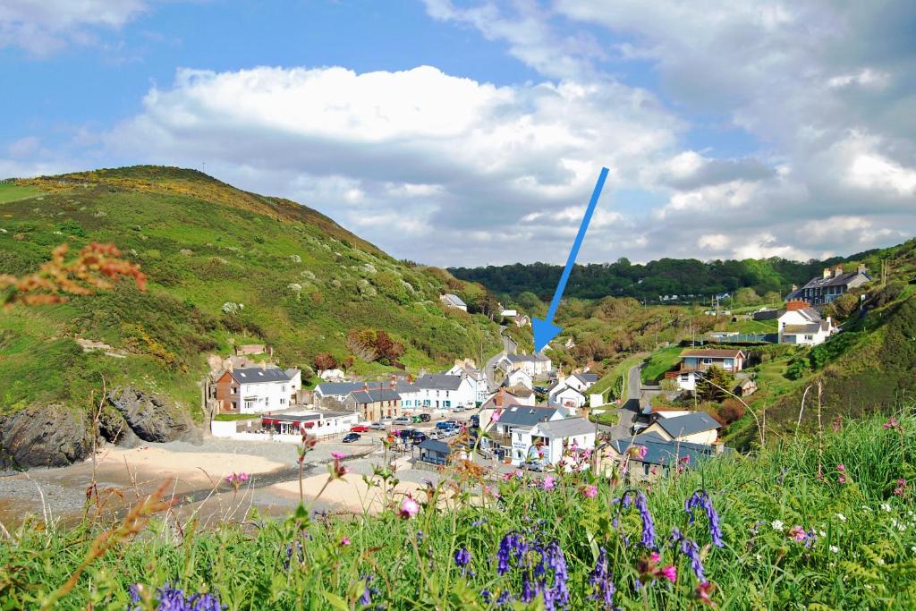 a small town on the side of a hill with flowers at Maelfa Crannog Isaf Llangrannog in Llangranog
