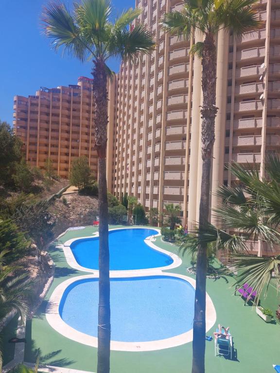een bovenaanzicht van een zwembad met palmbomen bij Rincon de Loix Benidorm in Benidorm